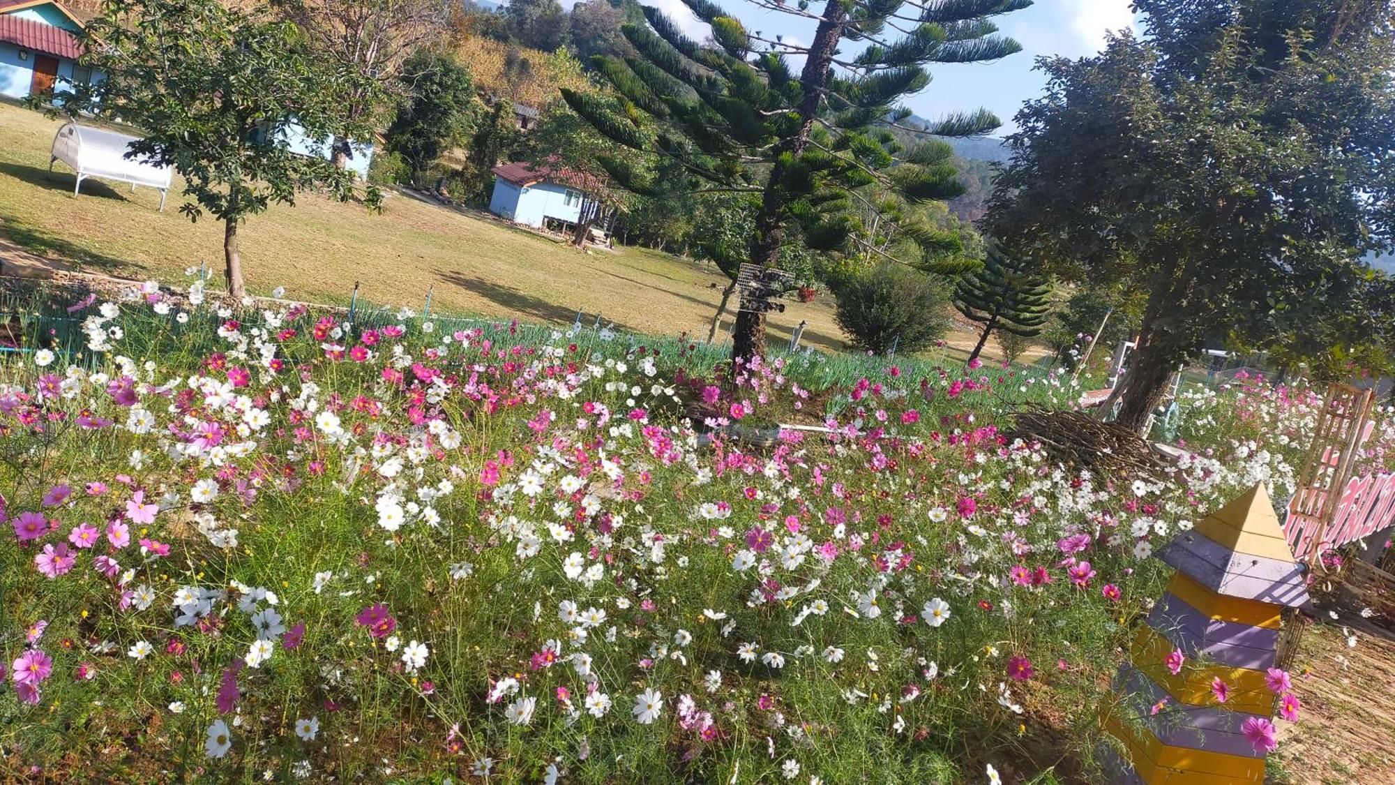 Mong Homestay Resort Pang Ung Екстер'єр фото