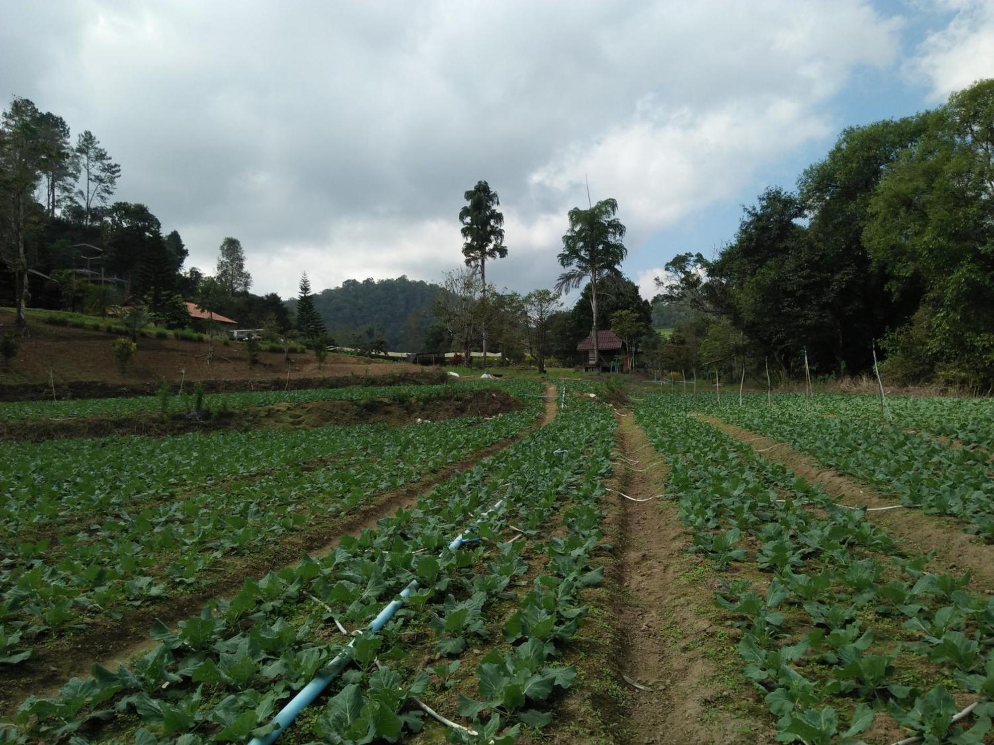 Mong Homestay Resort Pang Ung Екстер'єр фото