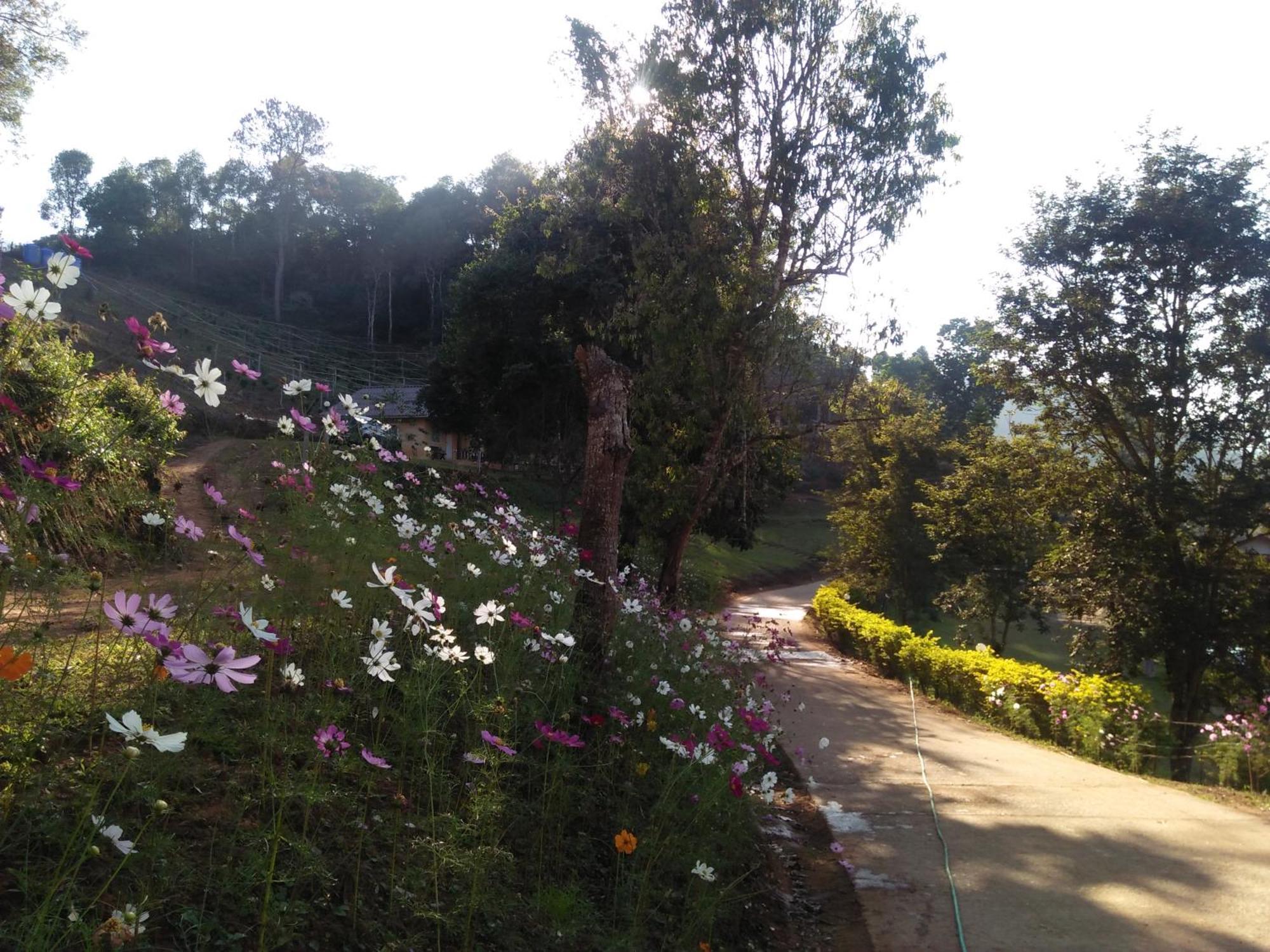 Mong Homestay Resort Pang Ung Екстер'єр фото
